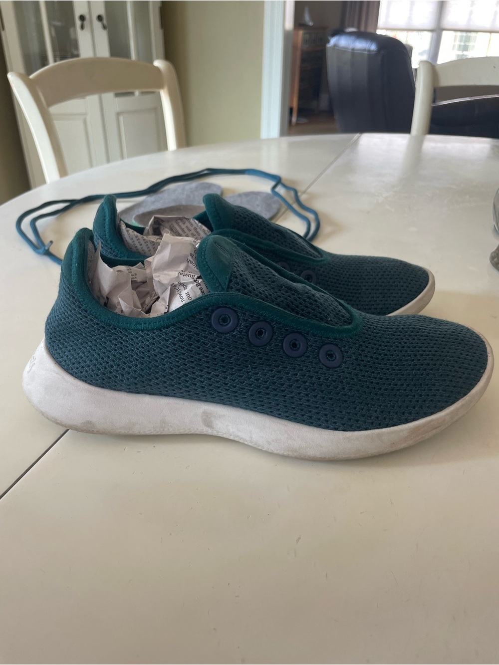 Allbirds Teal Tree Runners